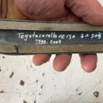 TOYOTA VERSO ÖN TAMPON KAŞI