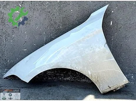 BMW 1 Serisi Sol Ön Çamurluk çıkma parça