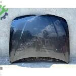 BMW 3 SERİSİ F30 F32 MOTOR KAPUTU ORJİNAL ÇIKMA