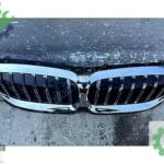 BMW 3 SERİSİ G20 ÖN PANJUR ORJİNAL 5A22C60