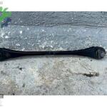 BMW 3 SERİSİ G20 SAĞ SOL ARKA DUZ SALINCAK 33110145