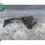 BMW 5 SERİSİ 2017 2023 G30 SOL ÇAMURLUK SACI 7349617
