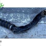 BMW F74 F70 U06 U10 U11 İNTERCOLLER HORTUMU 8489557 ORJINAL