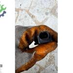 BMW X1 U11 F70 G60 G70 X3 X5 ANAHTARSIZ GİRİŞ ORJİNAL 5A1D0B2