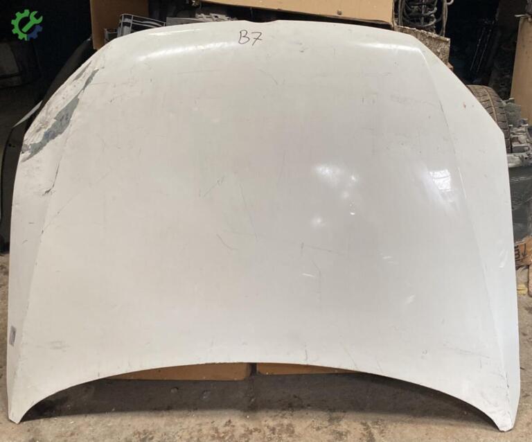 Volkswagen Passat Kaput çıkma parça
