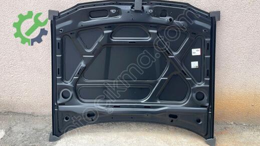 Seat Ibiza Kaput 6K0823031B çıkma parça