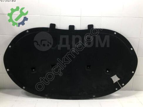 Volkswagen Passat Kaput 3AA863831A çıkma parça