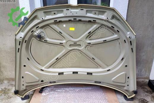 Volkswagen Passat Kaput 3AA823031 çıkma parça