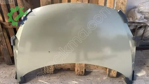 Peugeot 307 Kaput 7901L9 çıkma parça