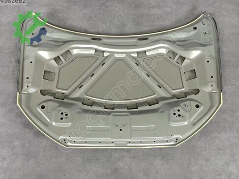 Audi Q3 Kaput 8U0823029A çıkma parça