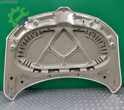 Skoda Rapid Kaput 5JA823031B çıkma parça