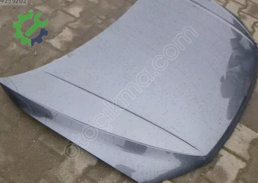 Volkswagen T-Roc Kaput 2GA823031A çıkma parça