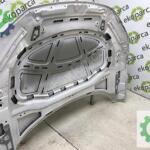 VOLKSWAGEN ARTEON 2017 2024 KAPUT 3G8823031