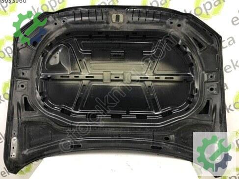 Volkswagen Passat Kaput 3G0823031 çıkma parça