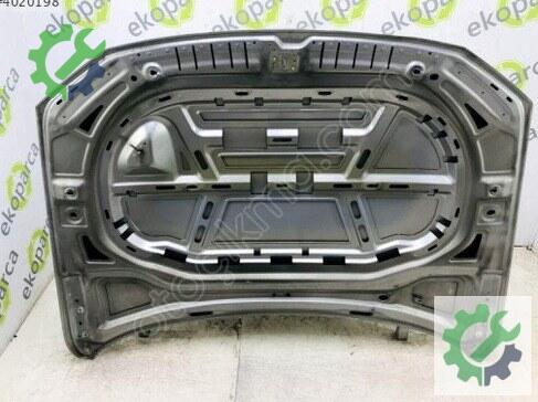 Volkswagen Passat Kaput 3G0823031 çıkma parça