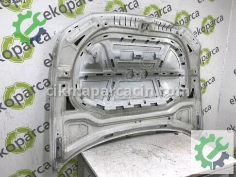 Volkswagen Passat Kaput 3G0823031 çıkma parça