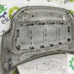 VOLKSWAGEN POLO 2017 2020 KAPUT 2G0823031