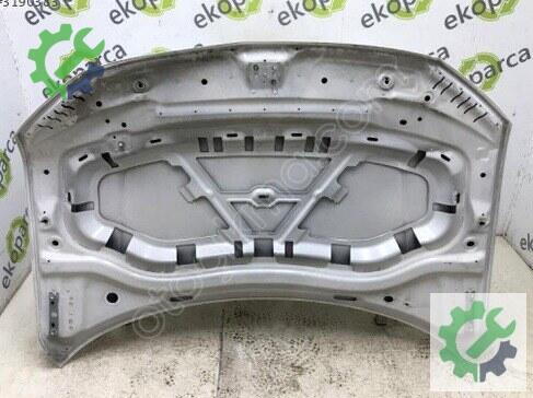 Volkswagen Tiguan Kaput 5NA823031 çıkma parça