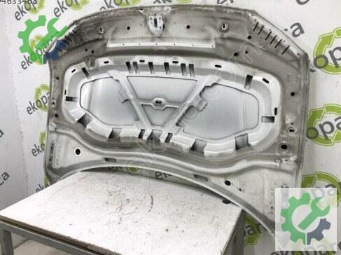 Volkswagen Tiguan Kaput 5NA823031 çıkma parça