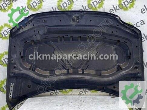 Volkswagen Tiguan Kaput 5NA823031 çıkma parça
