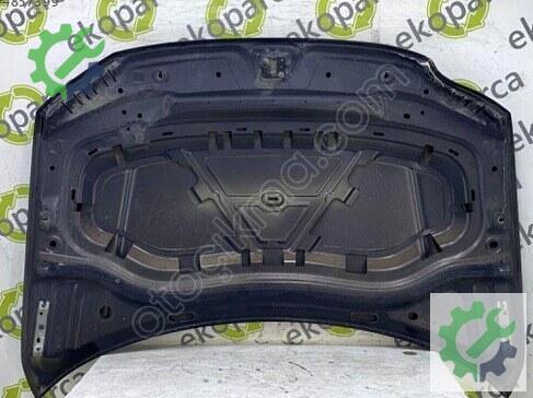 Volkswagen Tiguan Kaput 5NA823031 çıkma parça