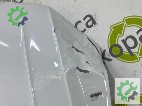 Volkswagen Tiguan Kaput 5NA823031 çıkma parça