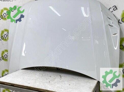 Volkswagen Tiguan Kaput 5NA823031 çıkma parça