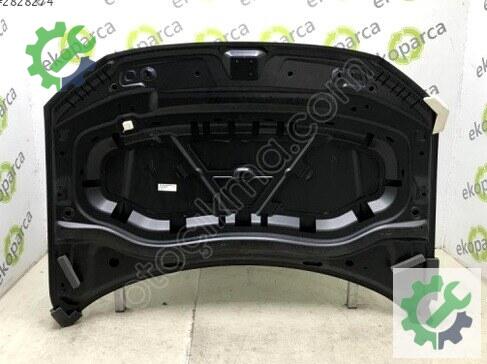 Volkswagen Tiguan Kaput 5NA823031 çıkma parça