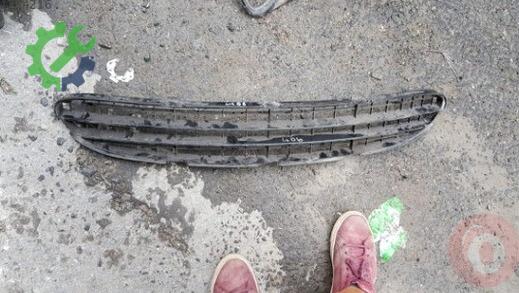 Peugeot 406 Tampon Izgarası çıkma parça