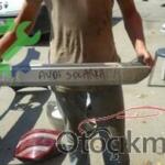 2002-2005 A4 SOL ARKA KAPI ÇITASI AUDI ÇIKMA PARÇA