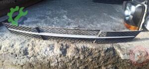 2008-2010 E60 5 SERİSİ ÖN TAMPON IZGARASI BMW ORJİNAL ÇIKMA