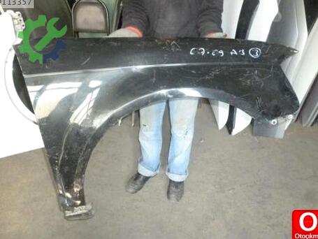 Audi A3 Sağ Ön Çamurluk 2009-2012 çıkma parça