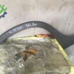 2014-2015 500L SOL ÖN ÇAMURLUK DODİĞİ FİAT ORJİNAL ÇIKMA
