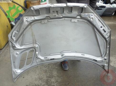 Peugeot 206 Kaput çıkma parça