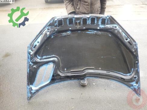 Peugeot 206 Kaput çıkma parça