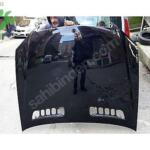 221 S SERİSİ KAPUT MERCEDES ORJİNAL ÇIKMA PARÇA