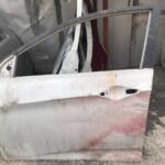 Hyundai Blue Sol Ön Kapı 760031R000