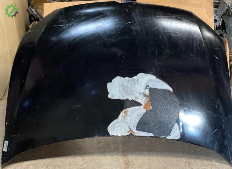Volkswagen Polo Kaput çıkma parça