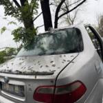 Fiat Albea Arka Cam çıkma parça - AKMAN OTO ÇIKMA Sakarya