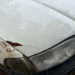 Fiat Siena Palio Ön Motor Kaputu Orijinal Çıkma (1998 – 2002)