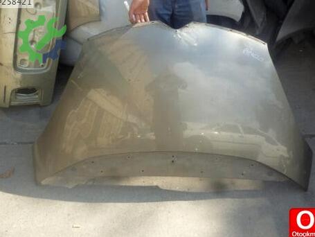 Citroen C4 Kaput çıkma parça