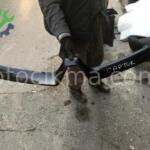 CAPTUR PANJUR RENAULT ORJİNAL ÇIKMA PARÇA