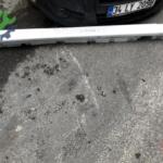 F10 SAĞ SOL MARŞBİYEL KAPLAMASI BMW ORJİNAL ÇIKMA PARÇA