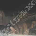 Hyundai Getz Şanzıman çıkma parça - OTOFİL YEDEK PARÇA Mersin