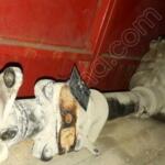 Hyundai H350 Arka Defransiyel çıkma parça - OTOFİL YEDEK PARÇA Mersin