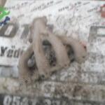 2005 Nissan Skystar Kalorifer Kutusu Çıkma Parça Mersin