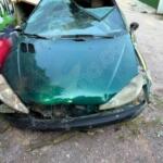 Peugeot 206 Sağ Ön Kapı çıkma parça - ÇIKMACI 41 Kocaeli
