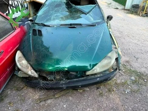 Peugeot 206 Sağ Ön Kapı çıkma parça