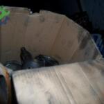 Hyundai H100 Piston çıkma parça - OTOFİL YEDEK PARÇA Mersin