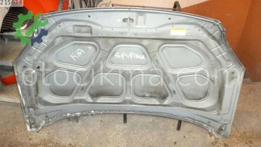 Kia Sportage Kaput çıkma parça